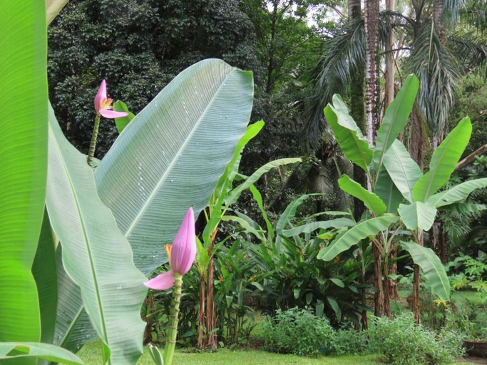 Others 2, Sand Dollar Beach Bed & Breakfast, Bocas del Toro