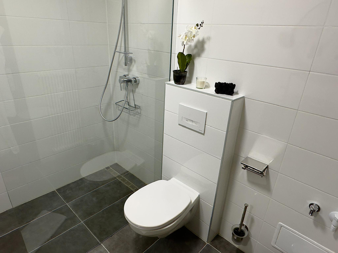 Bathroom 3, Alpenoase 2, Salzburg Umgebung