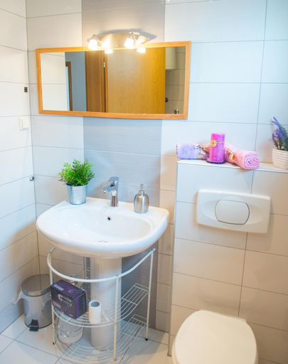 Bathroom, Guest House Agava, Herzegovina-Neretva