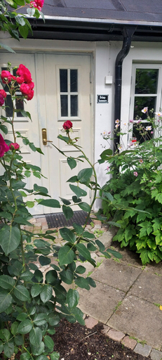 Exterior & Views 2, Bjerred B&B, Lomma