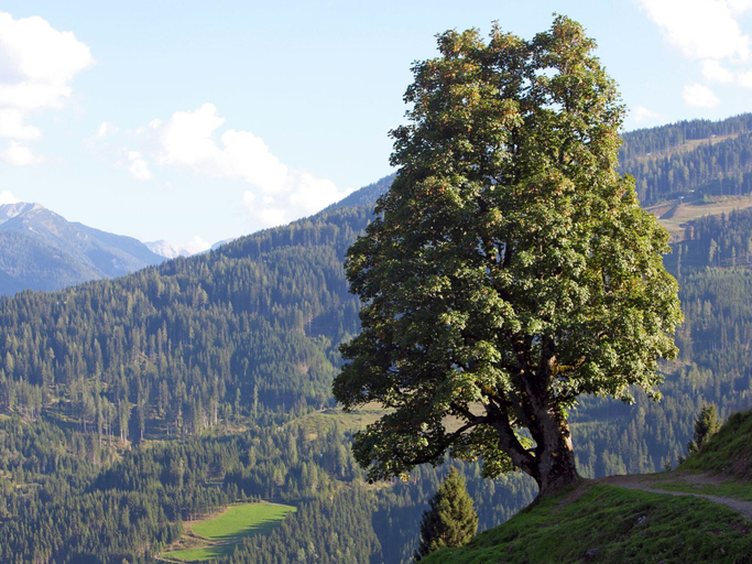Others 4, Apartment in Salzburger Land With Balcony, Sankt Johann im Pongau