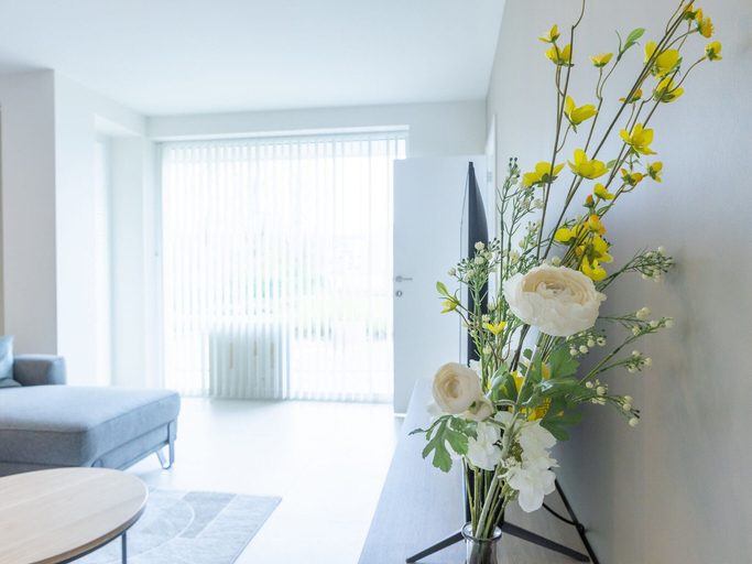 Interior detail 3, Corner Apartment in the Center With 3 Bedrooms, West-Vlaanderen