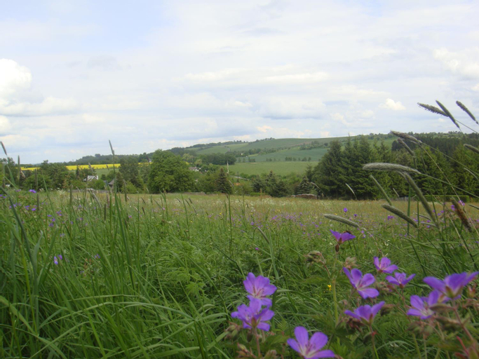 Exterior & Views 4, Landgasthof Kemter, Saalfeld-Rudolstadt
