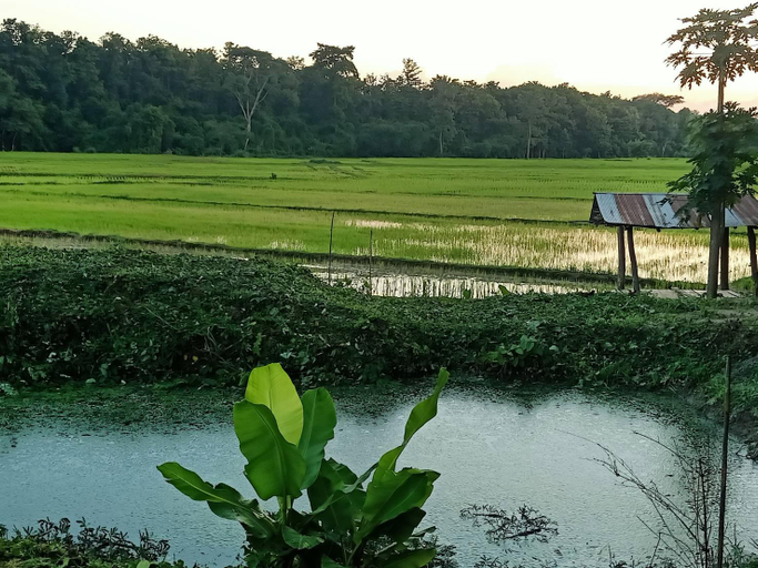 Others 5, Himtong Himtang, K. Phu Pieng
