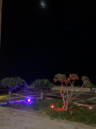 Others 4, Almog Tower