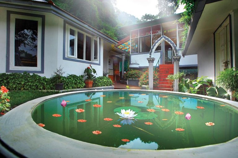 Sport & Beauty 2, Amazing cottages amidst the greenery in Munnar, Idukki