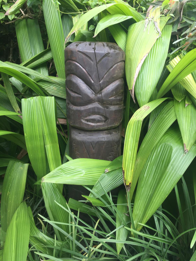 Others 4, TE PUKA ESTATE Group & Function Venue, Rorotonga