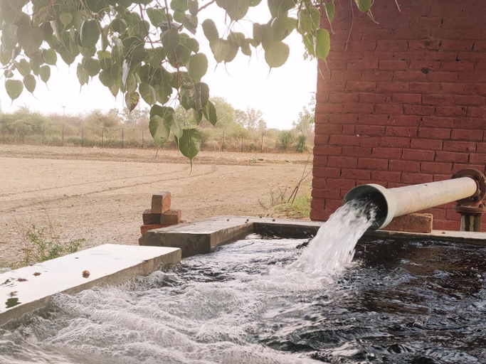Sport & Beauty, Rustic Roots Farm Stay, Amritsar