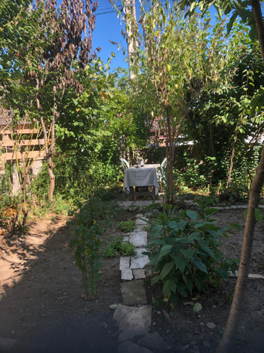 Others 3, Chambre spacieuse dans joli village alsacien, Bas-Rhin