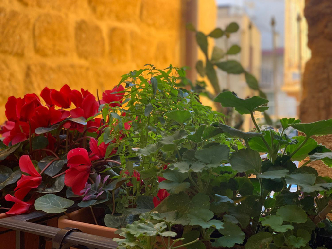 Others 4, Piano di Gamez Apartments, Agrigento