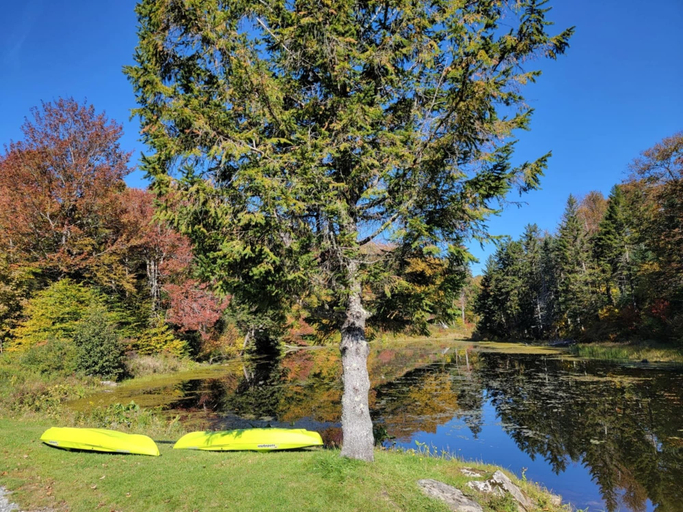 Others 5, Pinnacle Lodge, Bennington