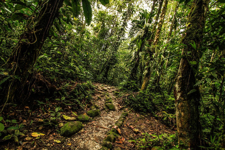Others 5, Great Hostels Amazon, Pastaza
