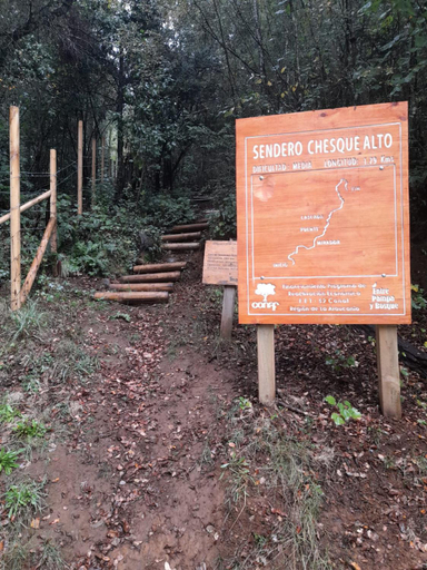 Others 5, Entre Pampa y Bosque, Cautín
