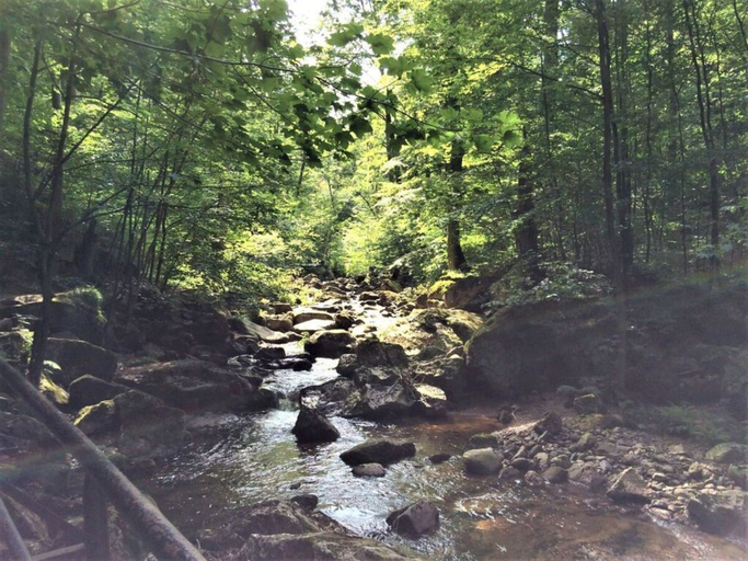 Miscellaneous 3, To Salamander No. 15a, Harz