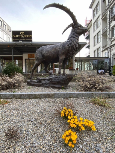 Exterior & Views 2, Carlton-Europe Vintage Adults Hotel, Interlaken
