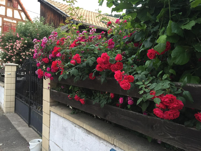 Others 5, Chambre spacieuse dans joli village alsacien, Bas-Rhin