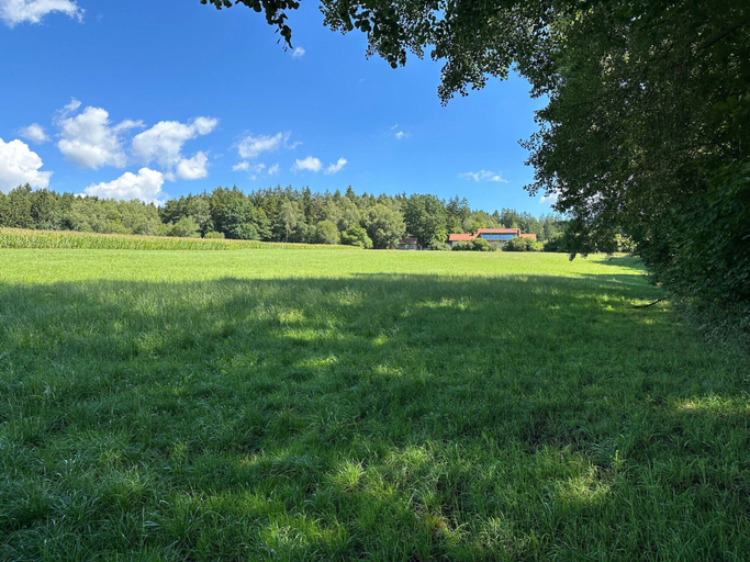 Others 2, Apartment in Rotz With Forest Views, Cham