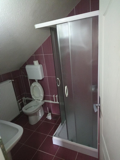 Bathroom 2, Apartments Vicko, Brus