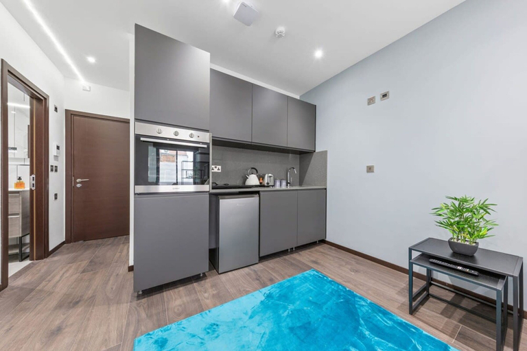 Others 5, Modern Luxury Studio Near Euston Central London, London