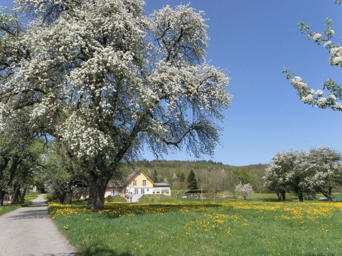 Exterior 3, Gaienhofen Comfortable Holiday Residence, Konstanz