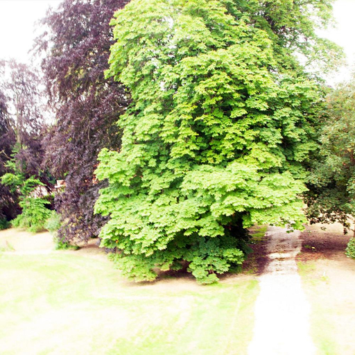 Others 5, Chateau Morreau, Hainaut