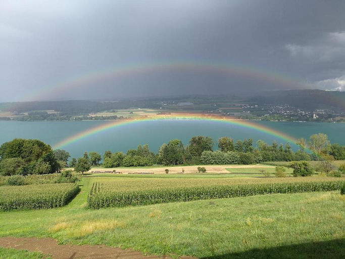 Exterior & Views 5, Lake View Apartments Beinwil am See (30 km to Lucerne), Kulm