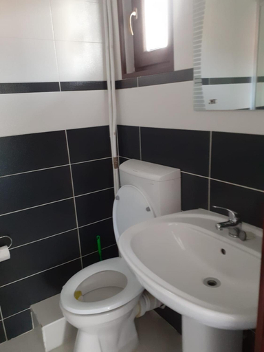 Bathroom 3, Pensiunea Perla Maramuresului, Borsa