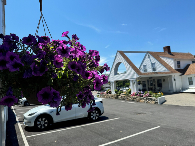 Exterior & Views 2, Blue Spruce Motel & Townhouses, Plymouth