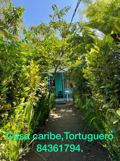 Others 4, Casa Caribe, Pococí