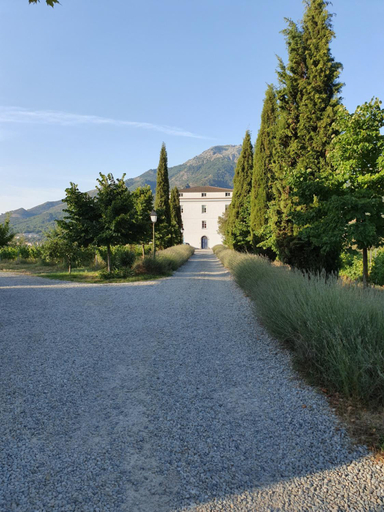 Others 5, Casa Guelfucci, Haute-Corse