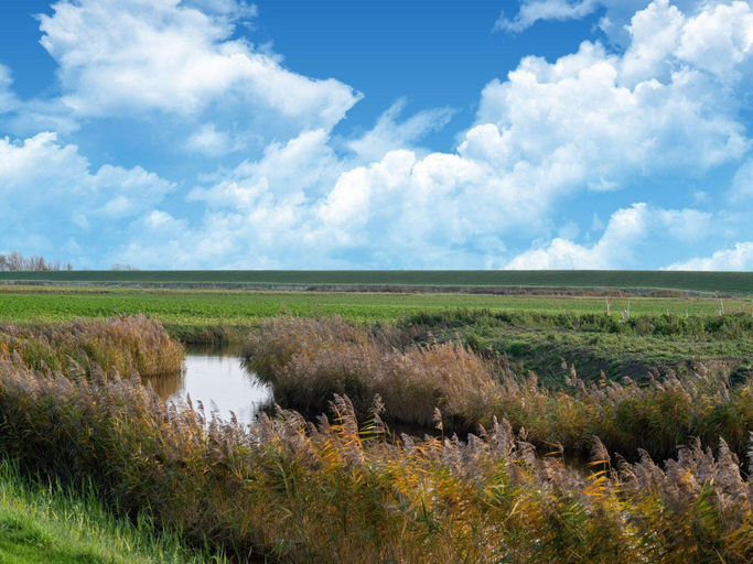 View from property 4, Holiday Home in Scherpenisse Near Nature Reserve, Tholen