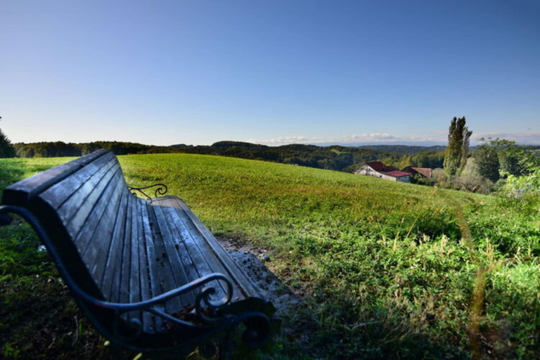 Room 5, Apartment in Schwalbenhof Farm, Südoststeiermark
