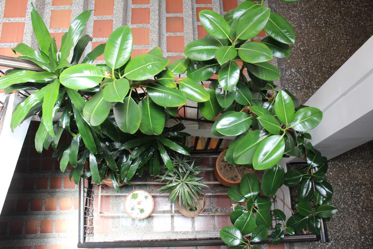 Others 5, Hotel Plaza El Santuario, El Santuario