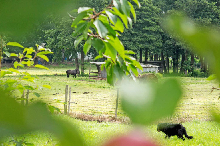 Others 2, Ferienwohnungen auf dem Pommernhof, Vorpommern-Rügen