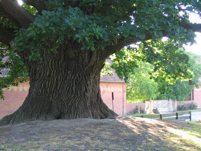 Others 4, Hof Grafeneiche, Hildesheim