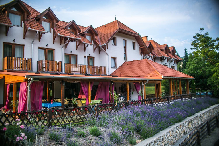 Food & Drinks, Solyomvar-Lak, Sárospatak