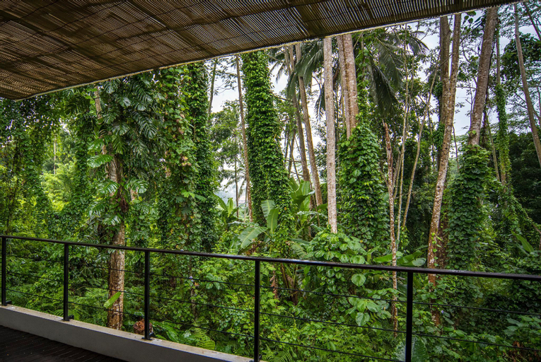 Scenery 17
