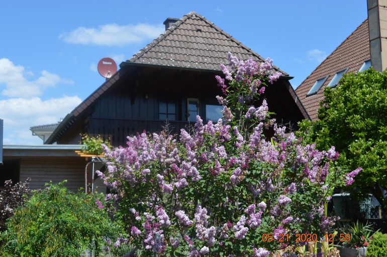Ferienwohnung Beim Holzmann, Ortenaukreis