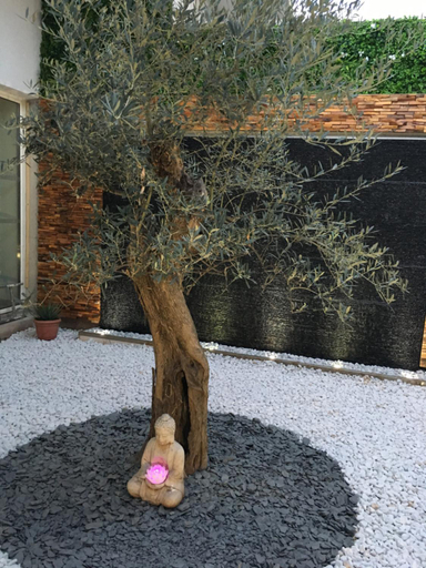 Others 4, Residence Esterazur, Var