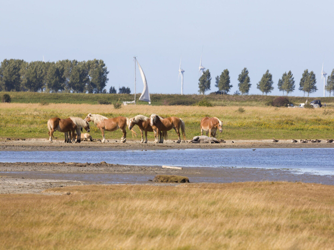 Others 5, Modern Apartment 3 Bath Rooms, Close to Lake Veere, Noord-Beveland