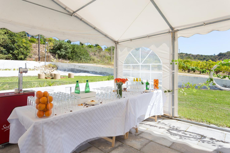 Food & Drinks 3, Quinta do Boicao, Loures