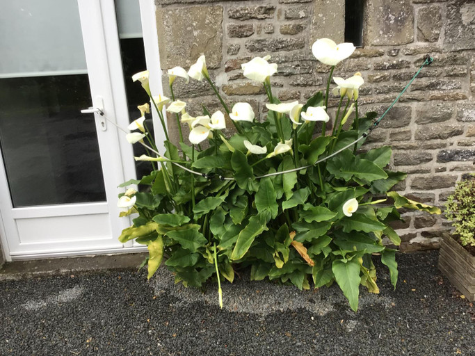 4, La Postellerie, Manche