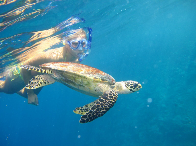 Others 5, Suffix Retreat - Stay, Dive & Explore Fuvahmulah