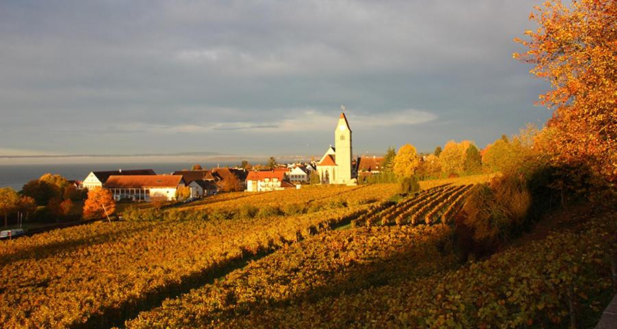 Exterior & Views 1, Ferienhof Berger UG, Bodenseekreis