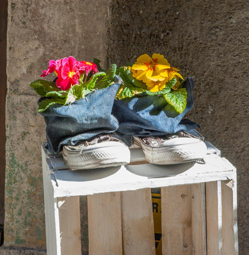 Food & Drinks 5, B&B Il Giullare, L'Aquila