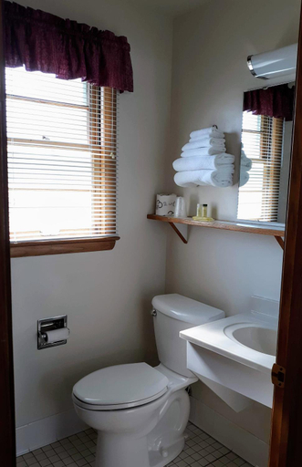 Bathroom 3, Bay Motel, Brown
