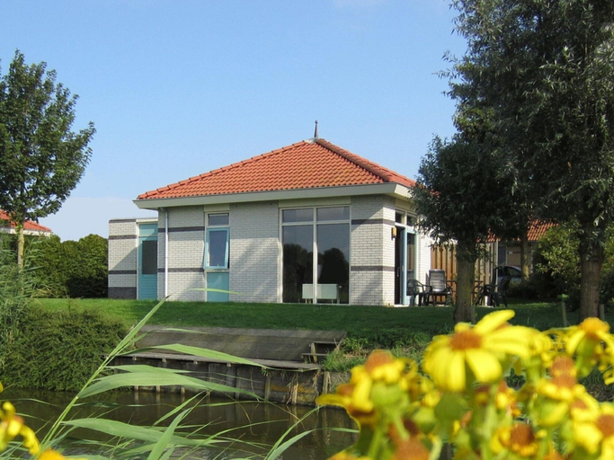 Primary image