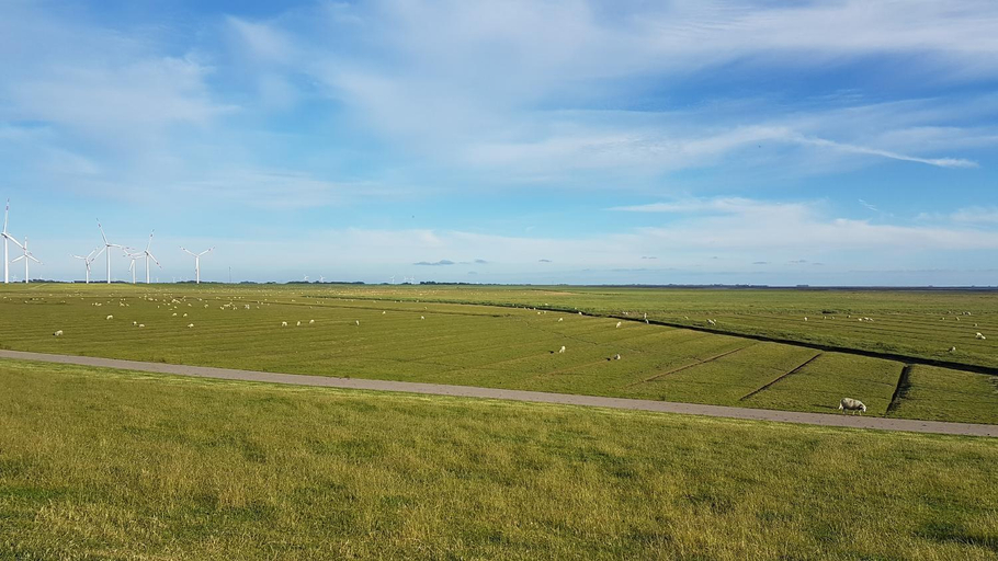 Others 3, Wohnmobilstellplatz Hemenswarft an der Nordsee - Meerblick, Nordfriesland