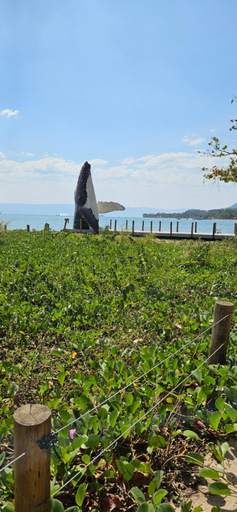 Others 3, Quarto 100m da praia Pereque, São Sebastião
