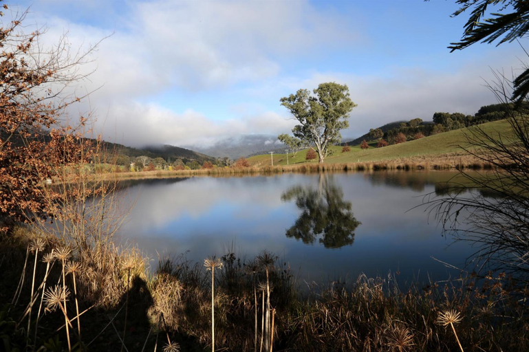 Others 5, Jamieson Valley Retreat, Mansfield